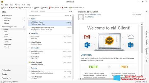 Screenshot eM Client Windows 8.1